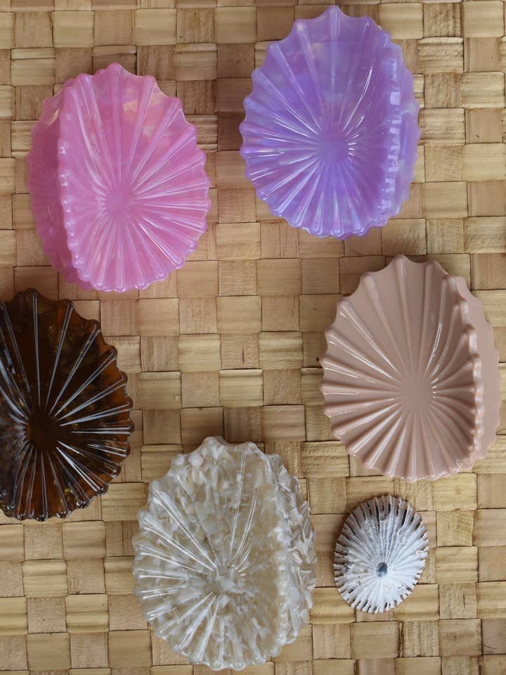 Pince en forme de coquillage 'Opihi pour la vente par Revel Sun Hawai'i