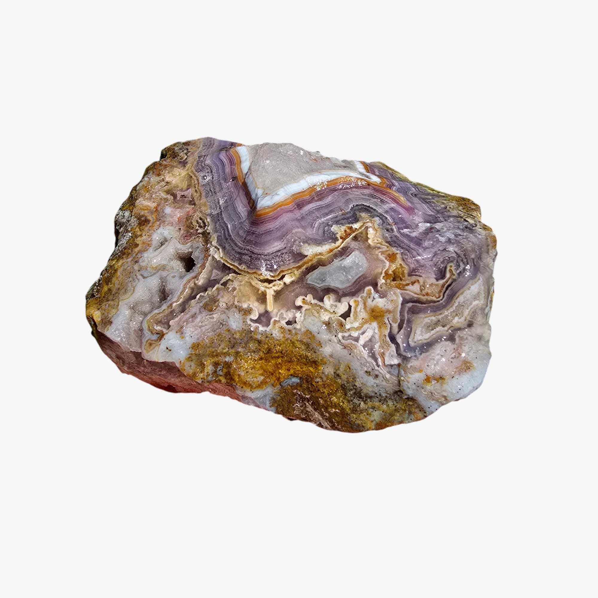 Lapidary Central – wholesale Andlig sten/kristall – Agua Nueva Agat Nytt Vatten Agat Rå Bit9