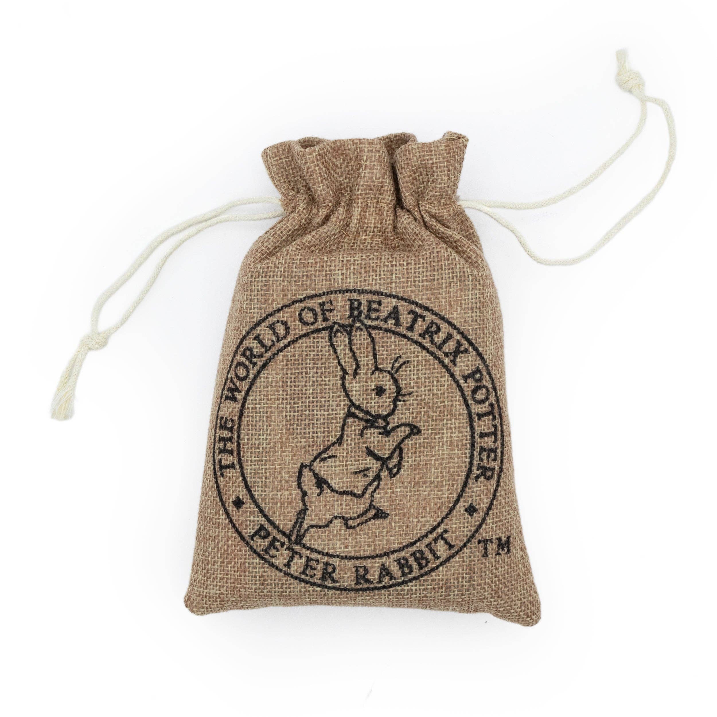 Robert Frederick Ltd – wholesale Toy set – Kids – Peter Rabbit Bug Spotter Activity Set3