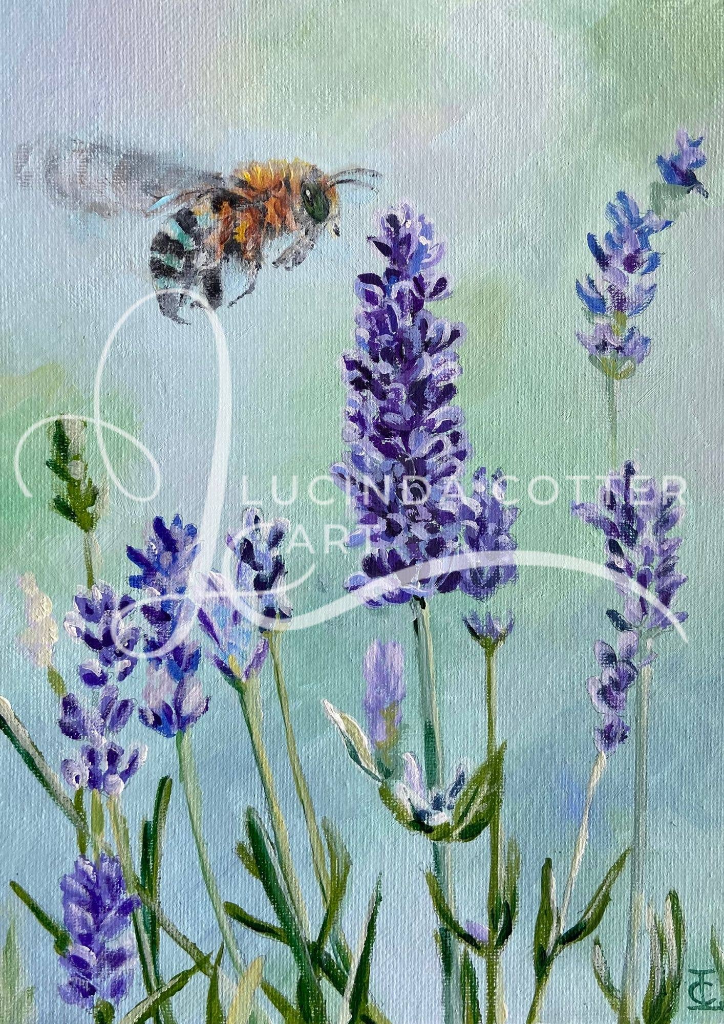 Lucinda Cotter Art – wholesale Vardagliga hälsningskort – Hälsningskort med inhemsk bi och lavendel2