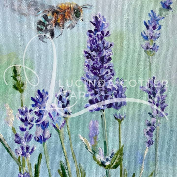 Lucinda Cotter Art – wholesale Vardagliga hälsningskort – Hälsningskort med inhemsk bi och lavendel2