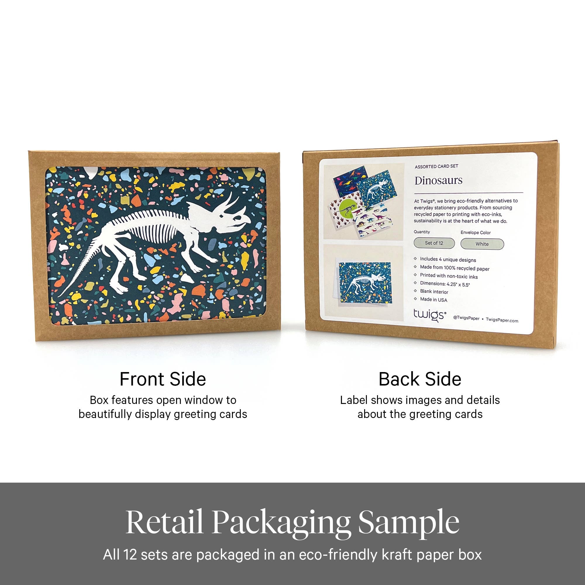 Twigs Paper - Wholesale Stationery/Notecard Set - Dinosaur Greeting Card Set | Assorted Notecards2