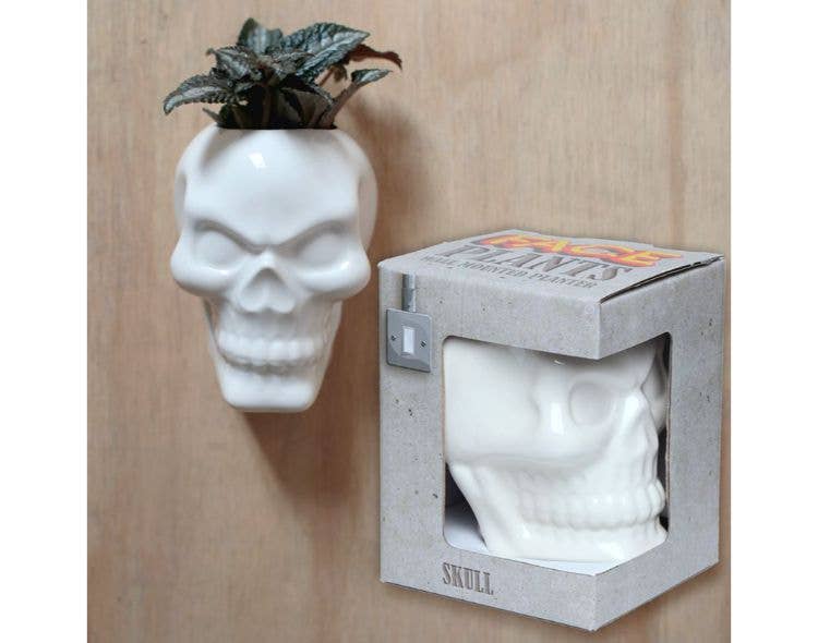 Crystal Magick Wholesale Ltd – wholesale Wall planter – Ceramic Skull Wall Plant Pot2