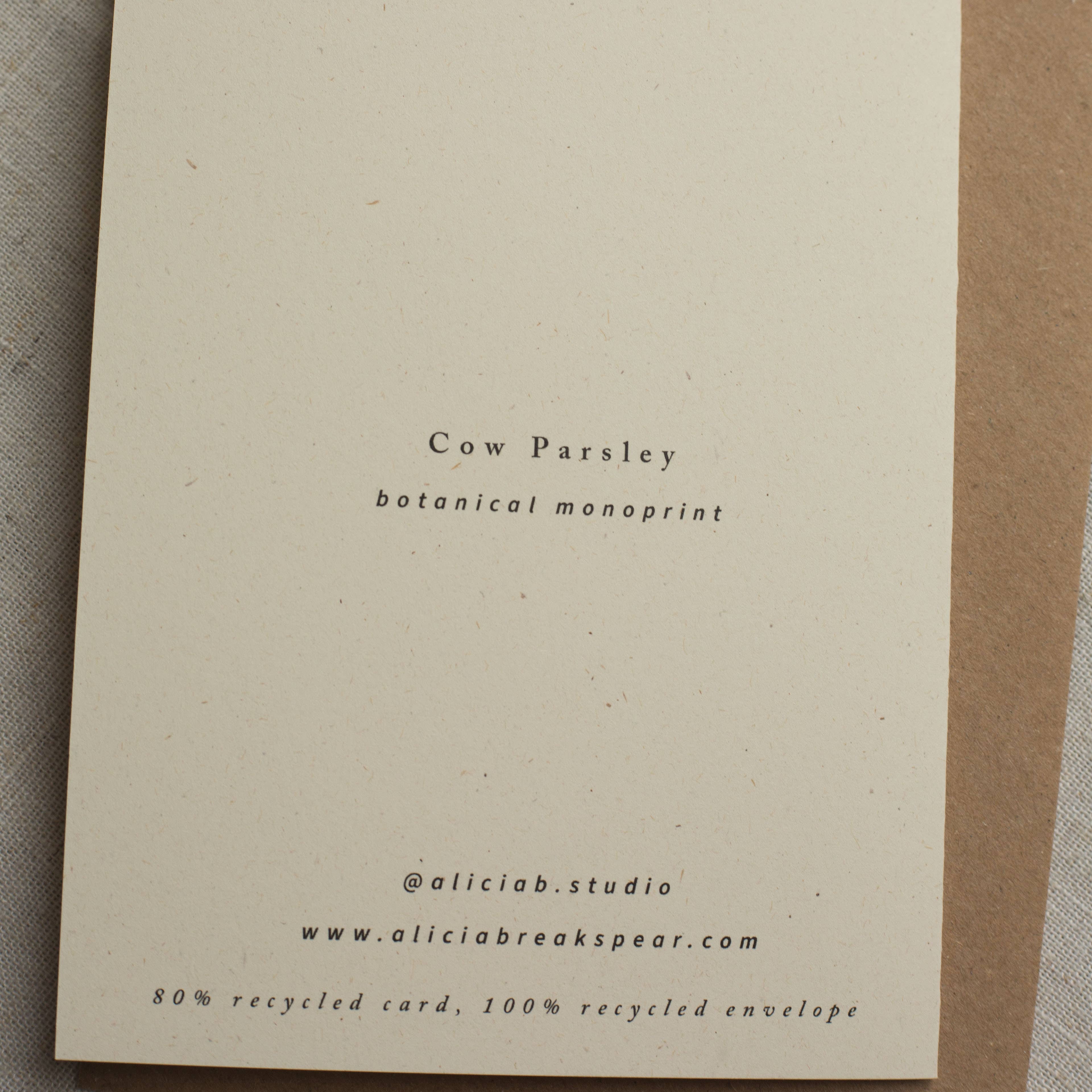 Alicia Breakspear - Wholesale Everyday Greeting Card - Cow Parsley Botanical Print Greeting Card A6 Recycled 6