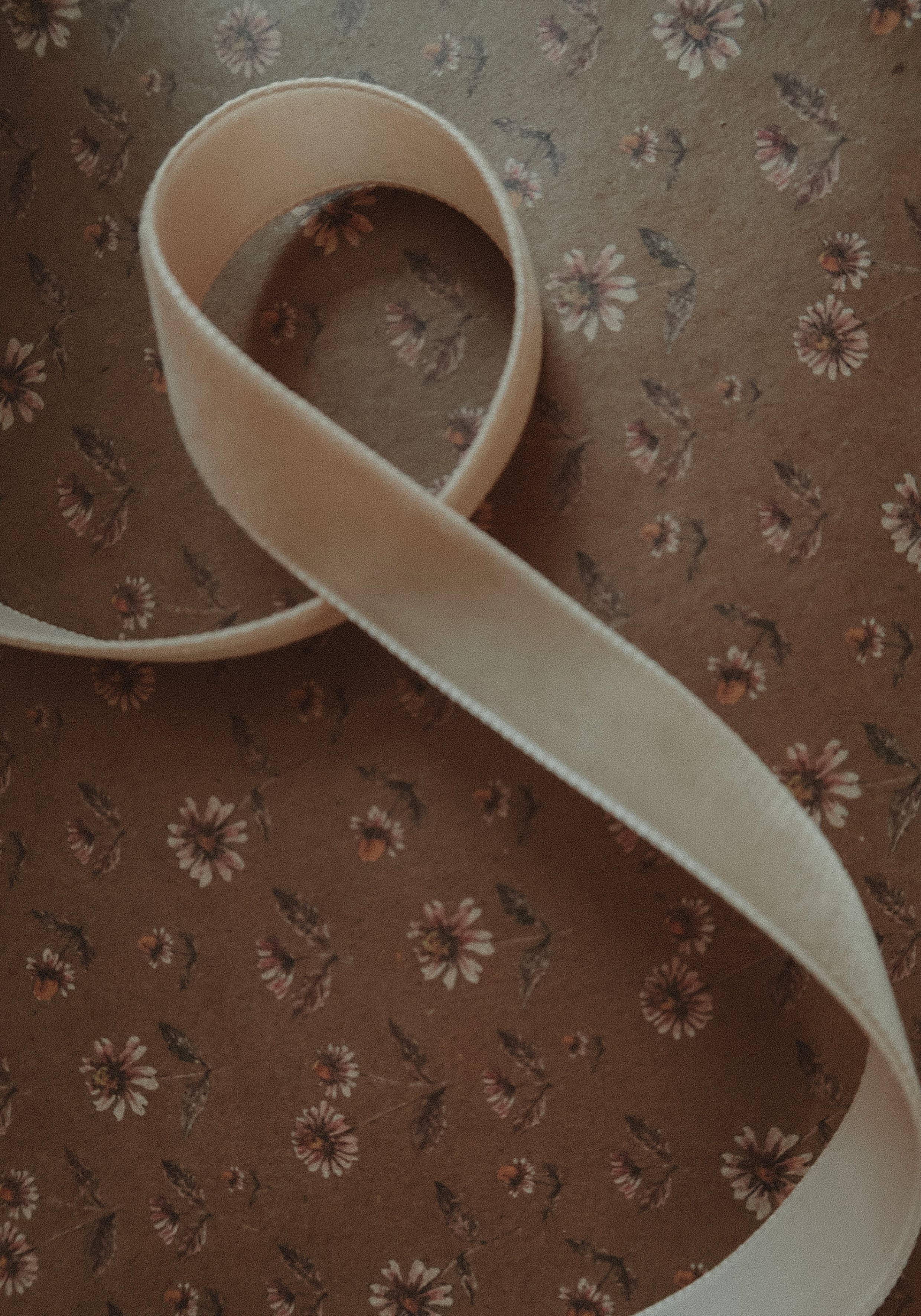 MyDesignPictures - Wholesale Ribbon - Gift Wrapping - Velvet ribbon BEIGE length 2,5m/width 16mm 2