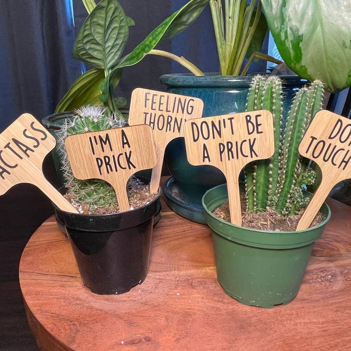 Kaktussamlingen for engroshandel hos Crafts At Stake