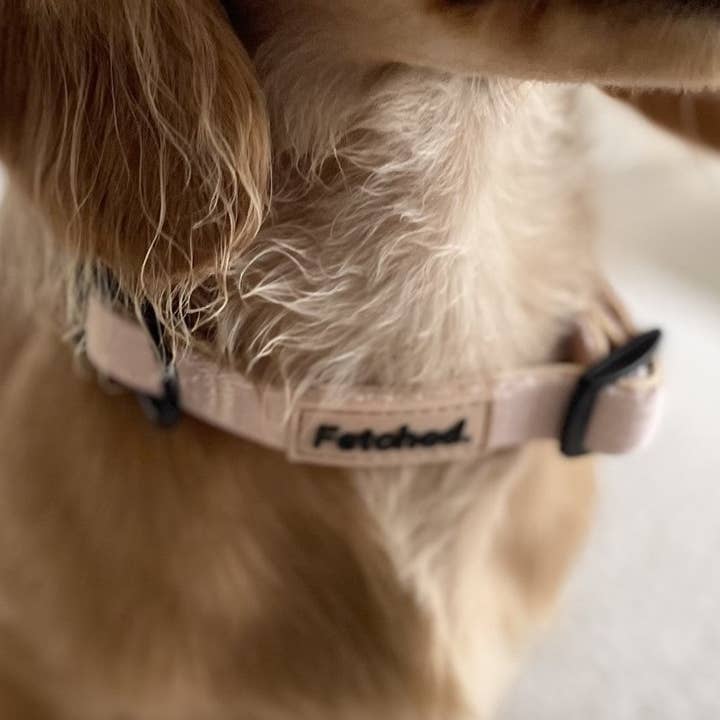 Collar in Beige for wholesale by Fetched The Label