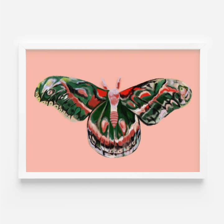 Moth - Art print for wholesale by Projet Spécial