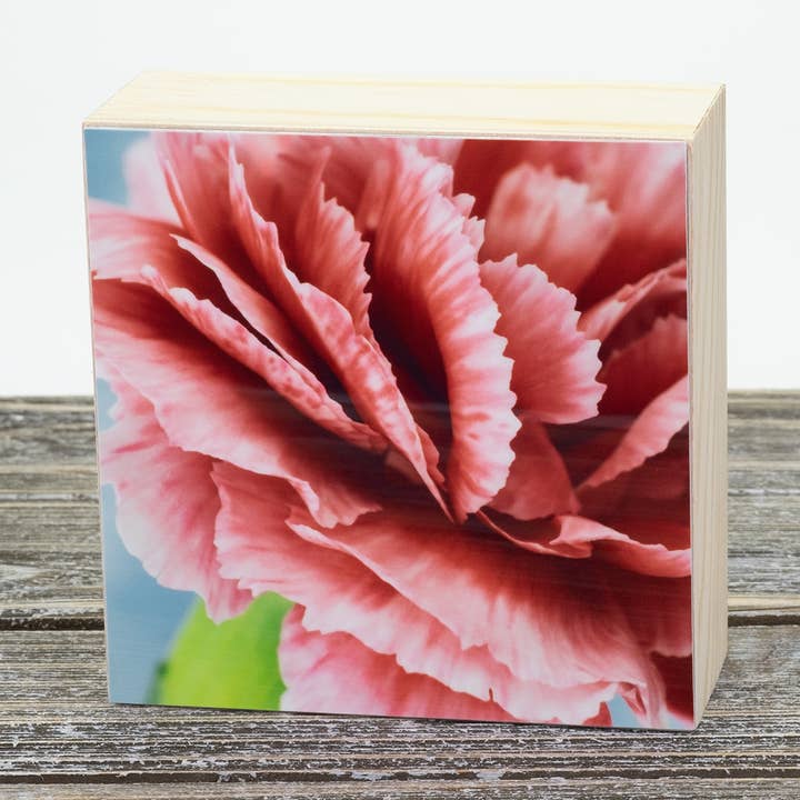 Carnation 4"x4" Aluminum Photograph On Wood Block for wholesale by Wyldeflower Studio
