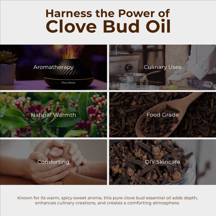 VIVA DORIA INC. – Engroshandel Æterisk olie – Æterisk olie af nellike knop, fødevarekvalitet, 30 ml (1 flydende ounce) 1