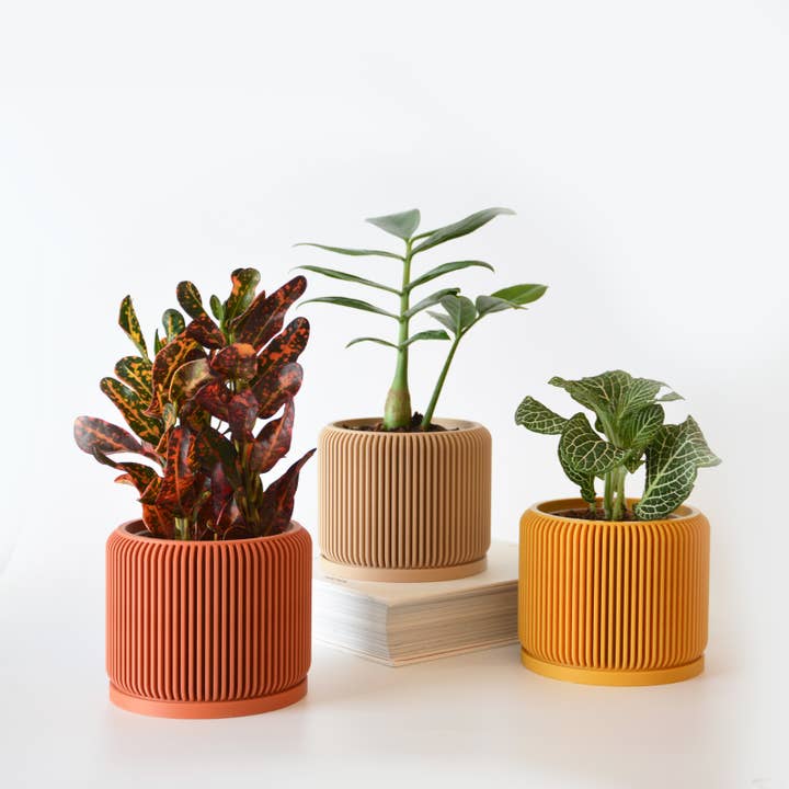 Minimalistic Pot Planter with drainage and tray and other Purchase Wholesale cosmetic pots. Free Returns & Net 60 Terms on Faire trending on Faire.