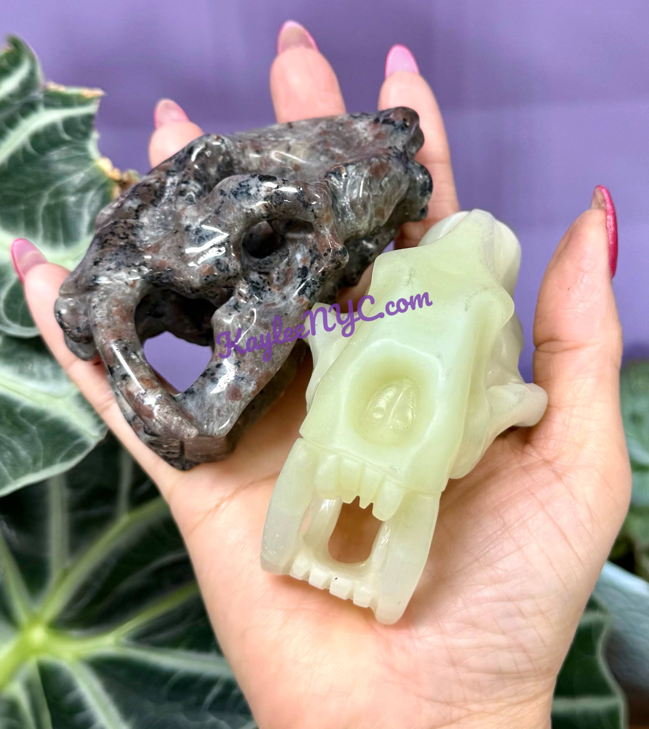 KayleeNYC - Wholesale Spiritual Stone/Crystal - 9cm Mix Natural Crystals Saber Tooth Skull Healing9
