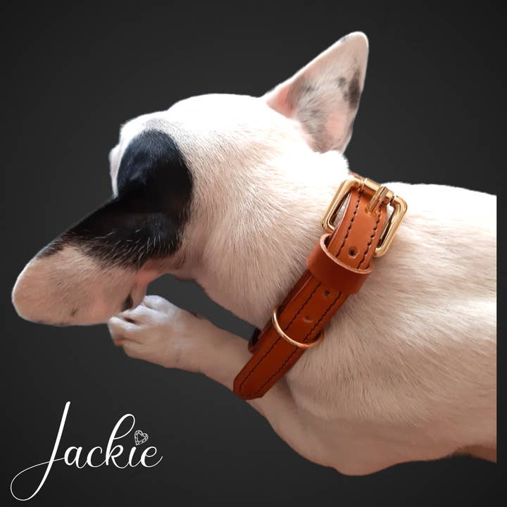 Jackie - Wholesale Pet Collar - Dog - Handmade genuine leather collar, adjustable, brown