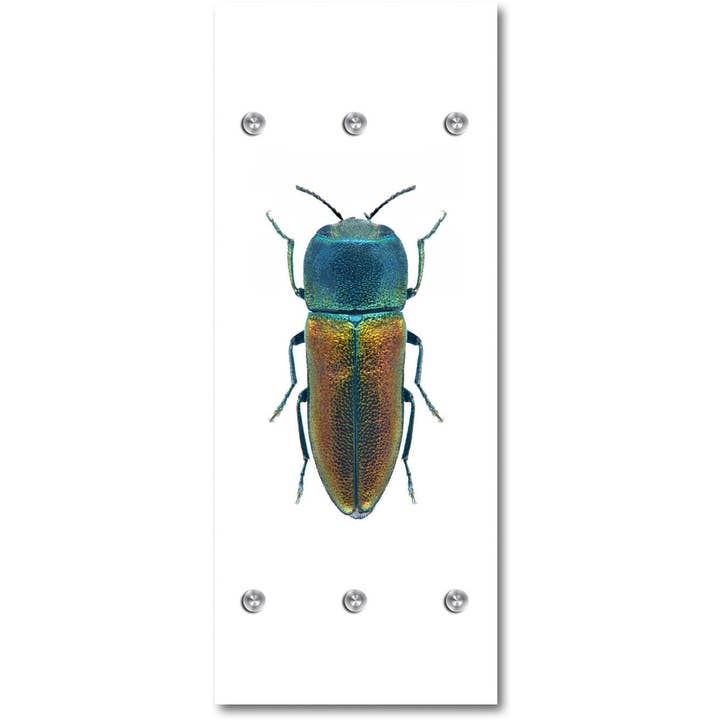 Cloakroom - buggy for wholesale by Queence