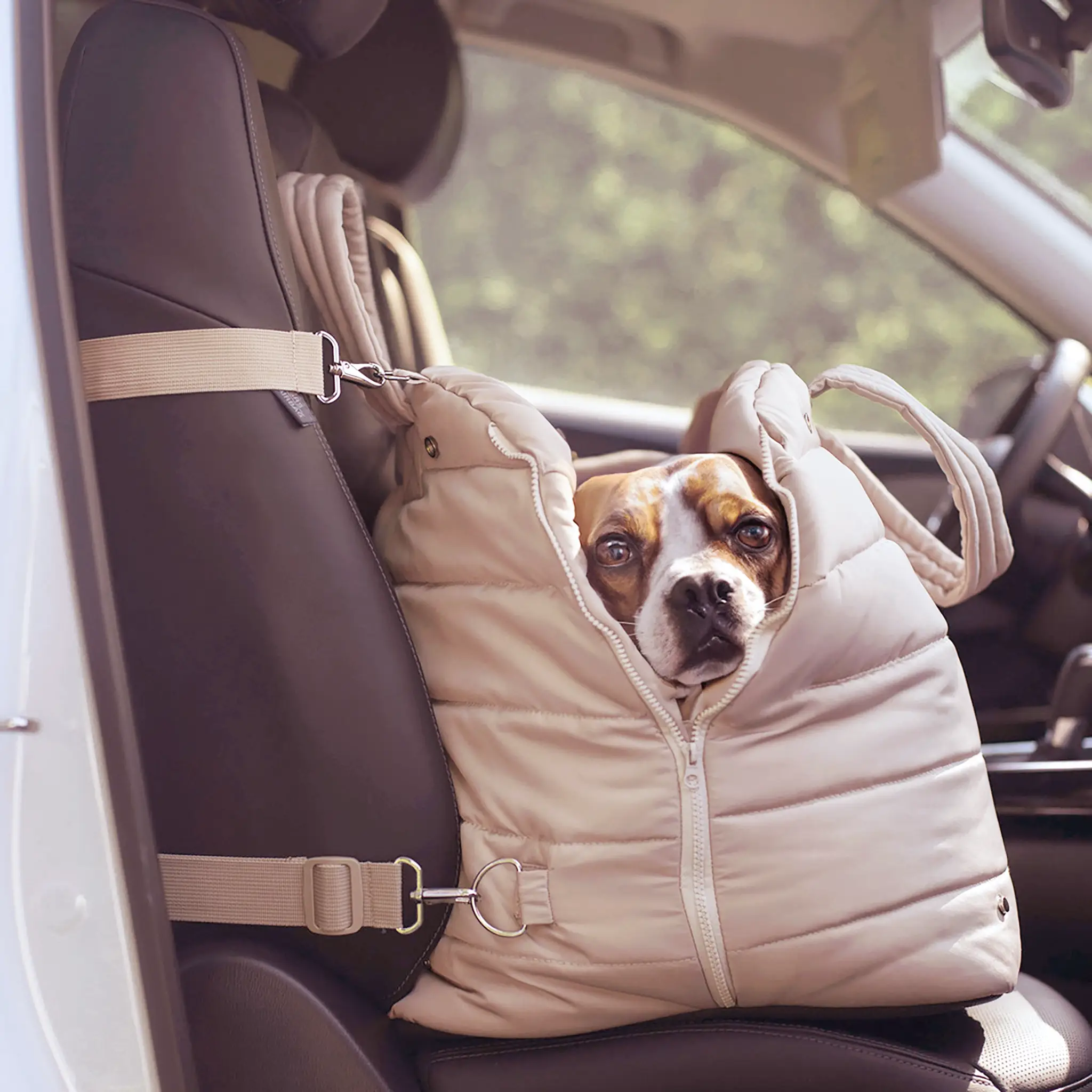 Nooee pet - Wholesale Pet Carrier - Cat/Dog - Nooee Pet Lola Car Seat – Foldable Travel Bed for Pets1