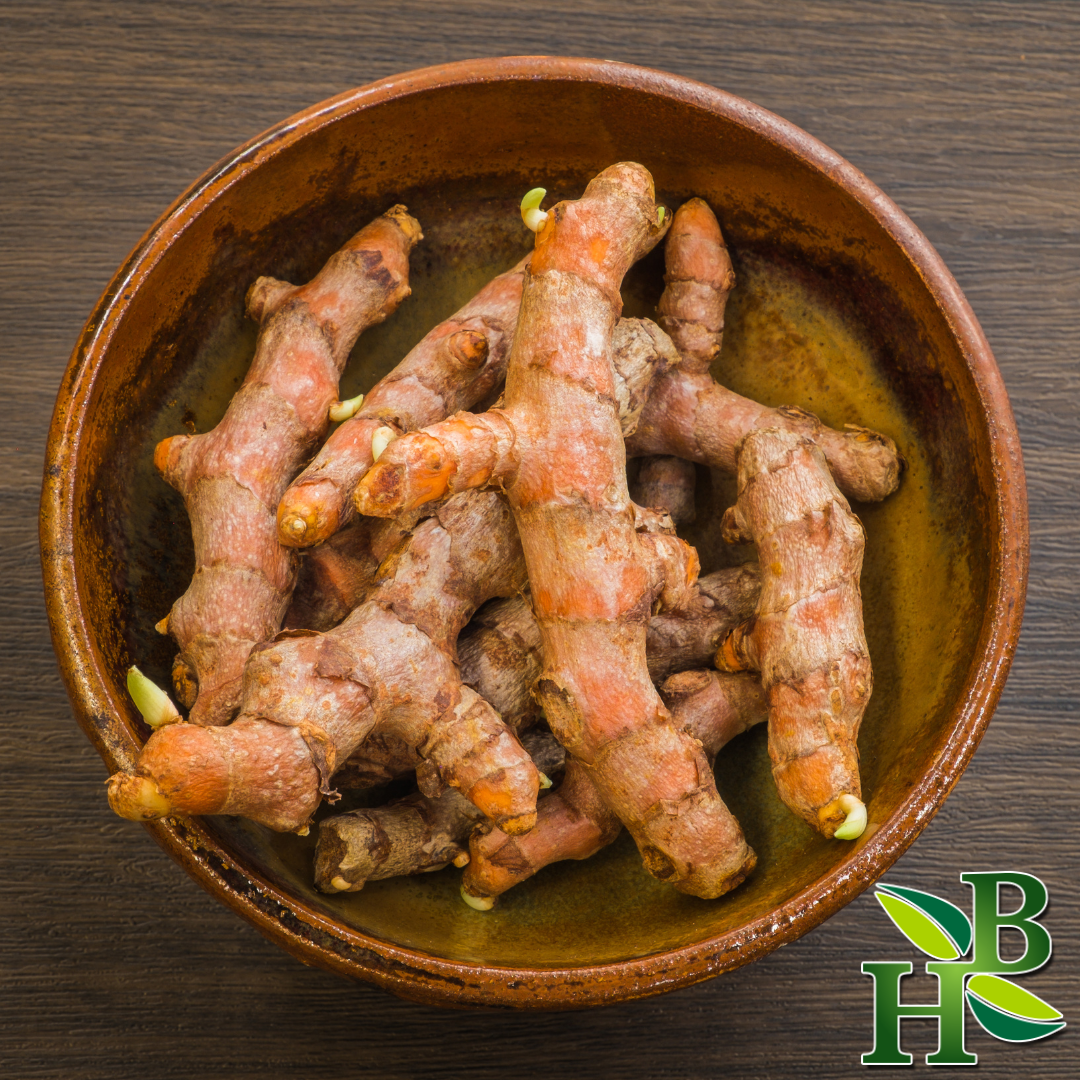 Herb To Body – Großhandel Kräuter – Kurkuma-Wurzel geschnitten 4oz1