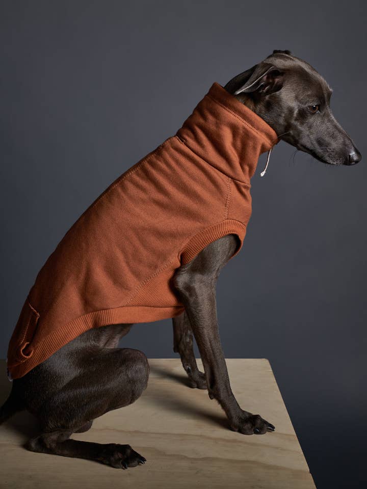 Italiensk vinthund/Whippet Terracotta Turtleneck Vest MELROSE för wholesale av The Striped Dog