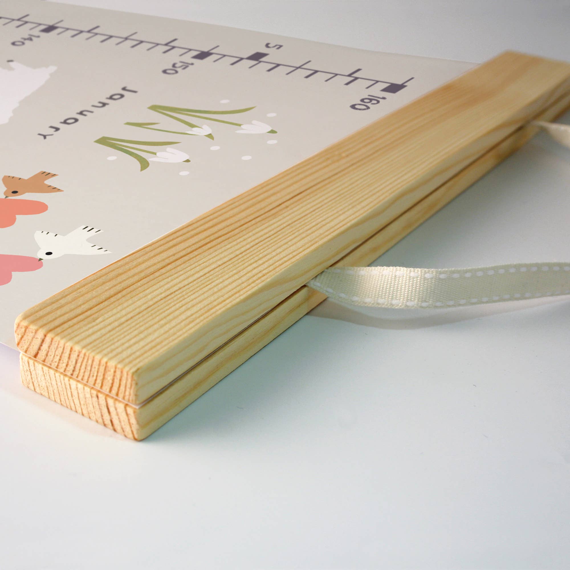 James Ellis – Engroshandel Vækstskema - Børn og baby – Måneder i året højde vækstdiagram3