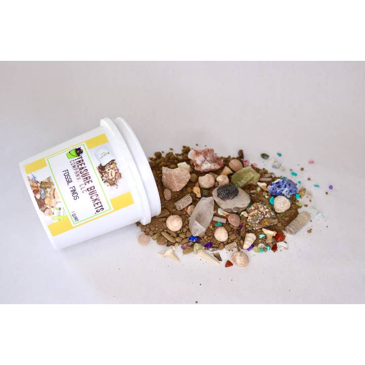 Fossil Finds Gem Mining Bucket Quart - Fossils, Gems for wholesale by Treasure Buckets Co., LLC