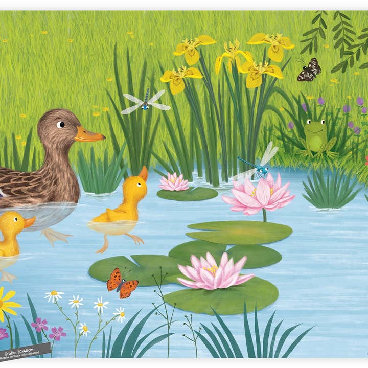 Elli, le petit canard – Au bord de l'étang pour la vente par BUCHPOSTER