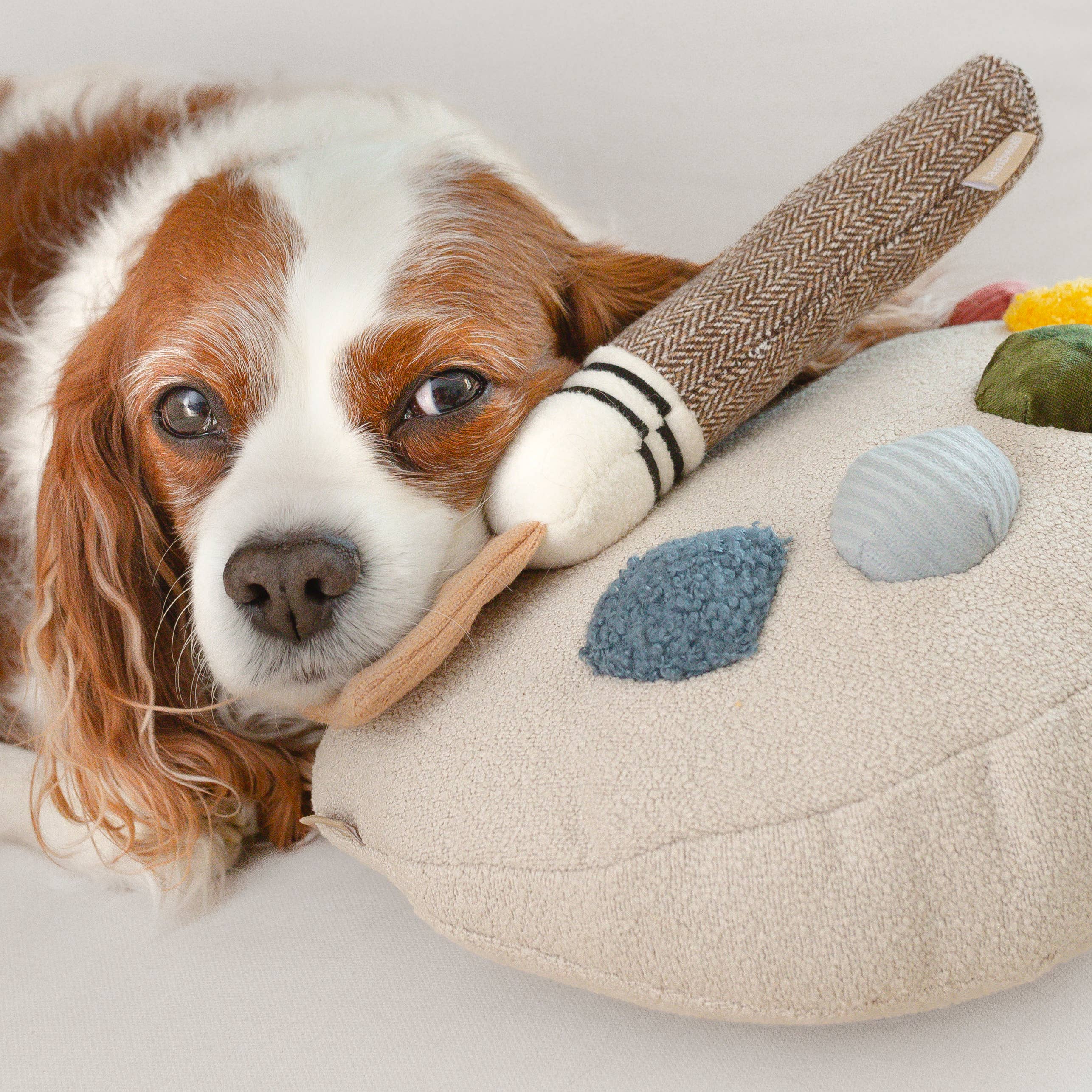 Lambwolf Collective - Wholesale Pet Toy Set - Dog - Color Palette Set // ENRICHMENT DOG TOY  7