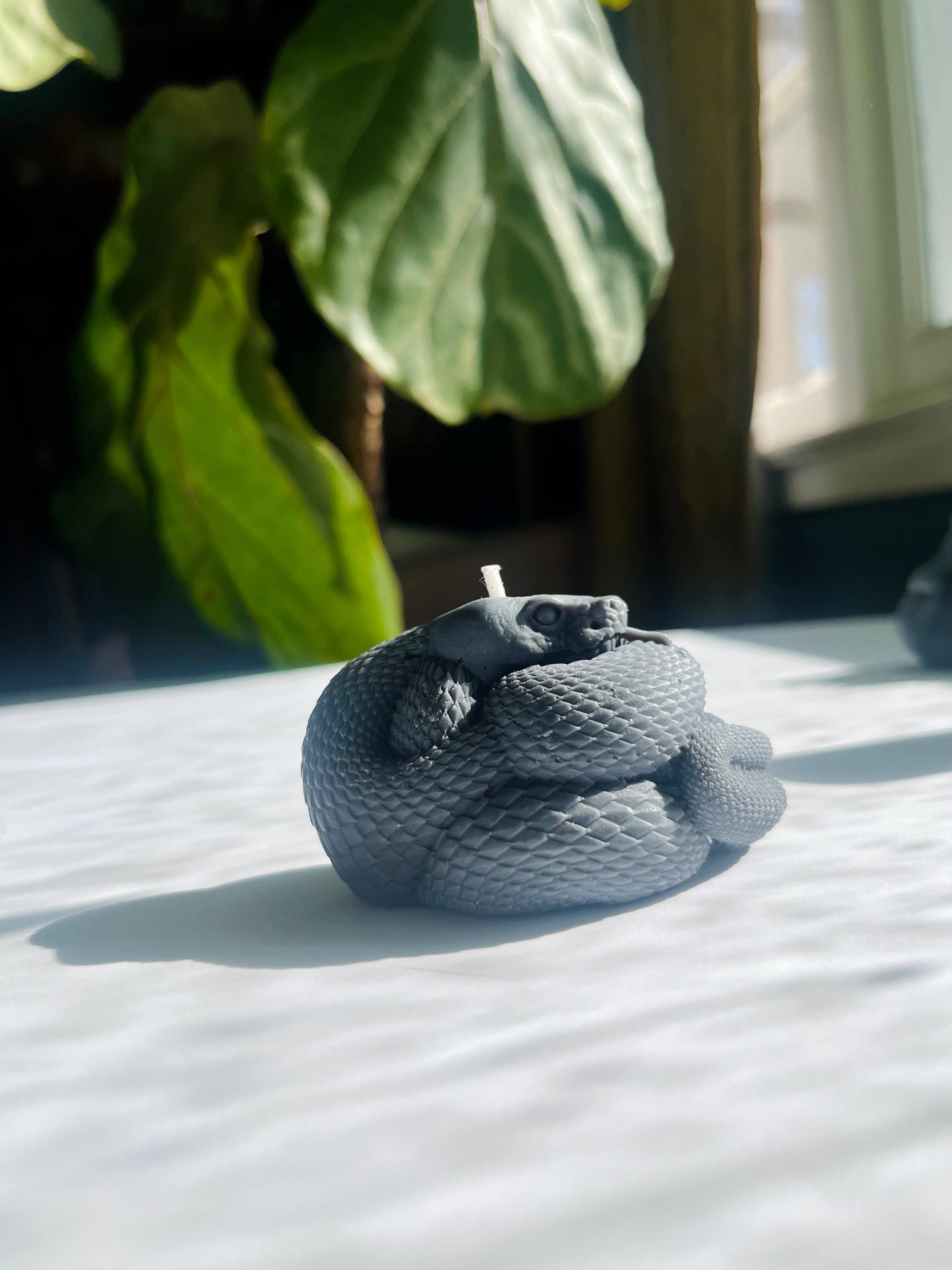 Beauty and the Moon - Wholesale Pillar Candle - Black Snake Candle | Witch Candle | Snake Art | Beeswax Soy 7