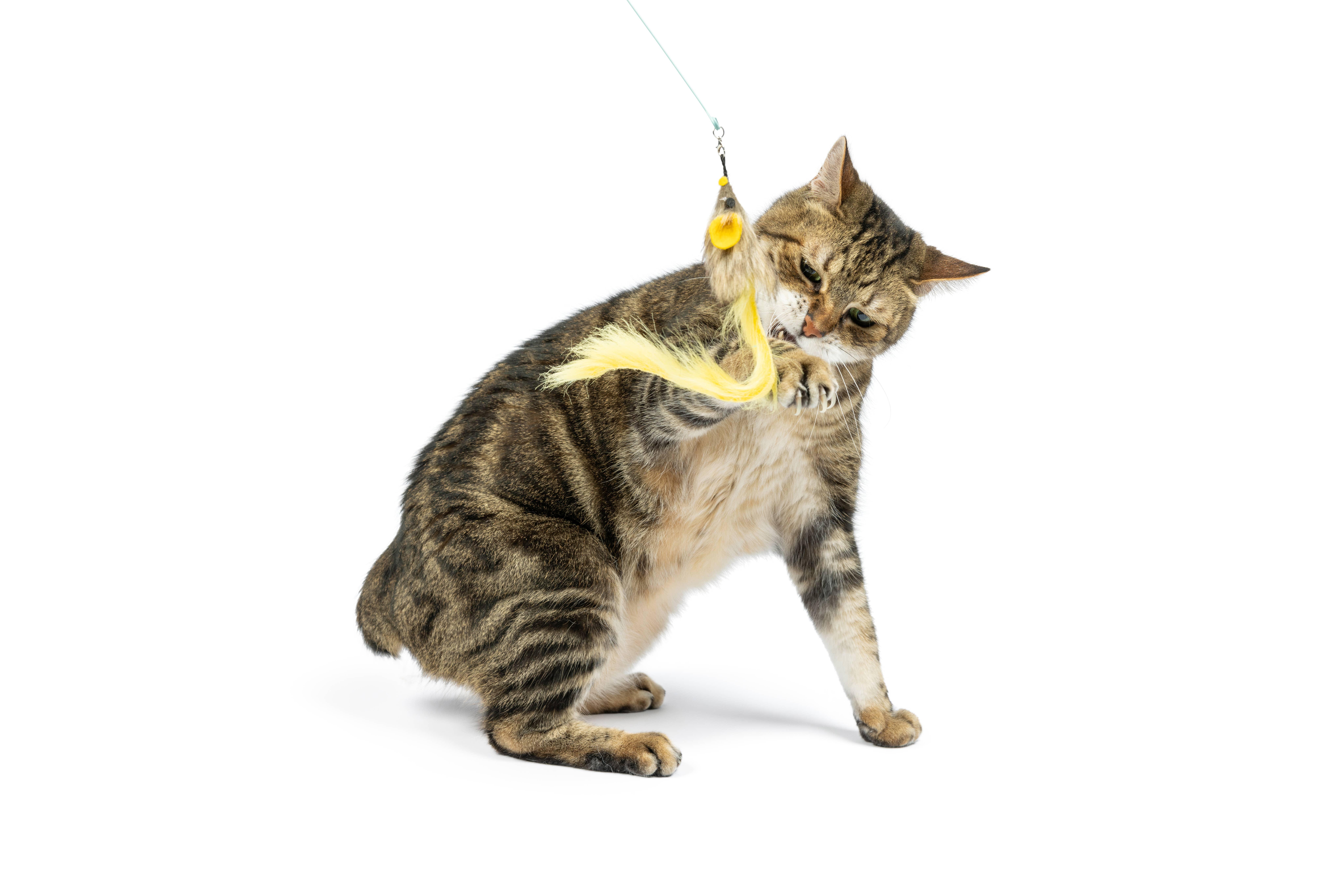 Huxley & Kent - Wholesale Pet Toy - Cat - Wire Dragonfly & Mouse Wand Cat Toy4