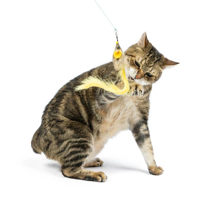 Huxley & Kent - Wholesale Pet Toy - Cat - Wire Dragonfly & Mouse Wand Cat Toy4