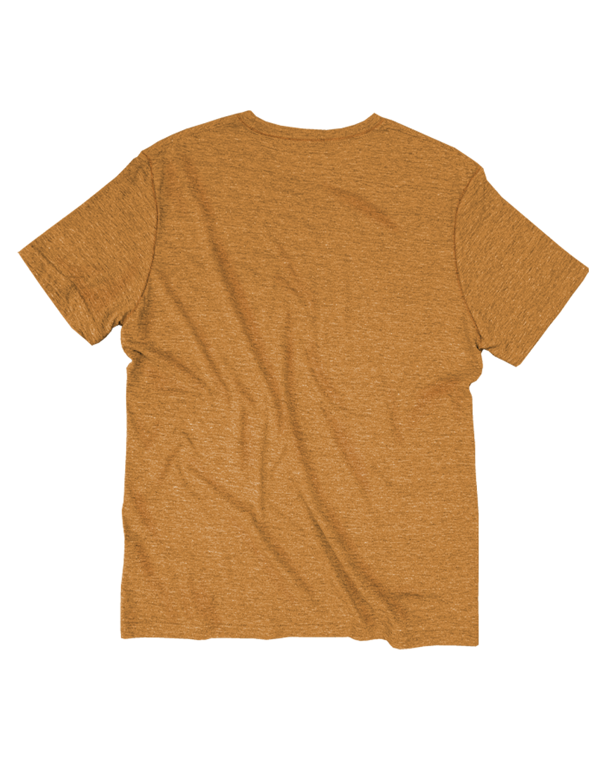 GOEX Apparel - Wholesale T-Shirt - Men's - Unisex Short Sleeve Triblend Tee19