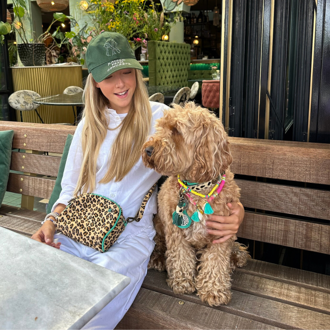 Dog with a Mission - Wholesale Crossbody Bag - Women's - Walk the dog crossbody bag1