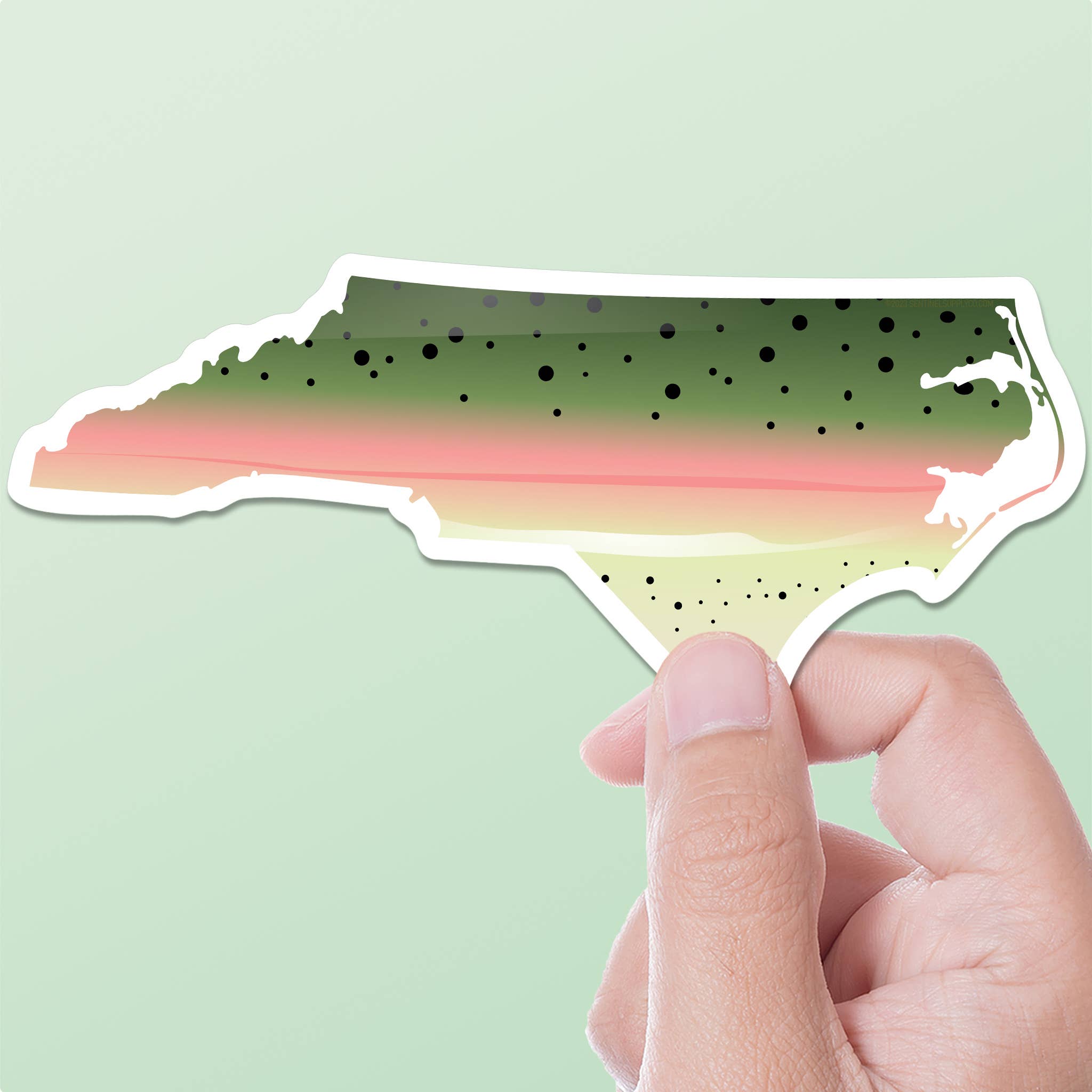 Sentinel Supply – wholesale Sticker – Rainbow Trout North Carolina Sticker - NC Fishing Decal6