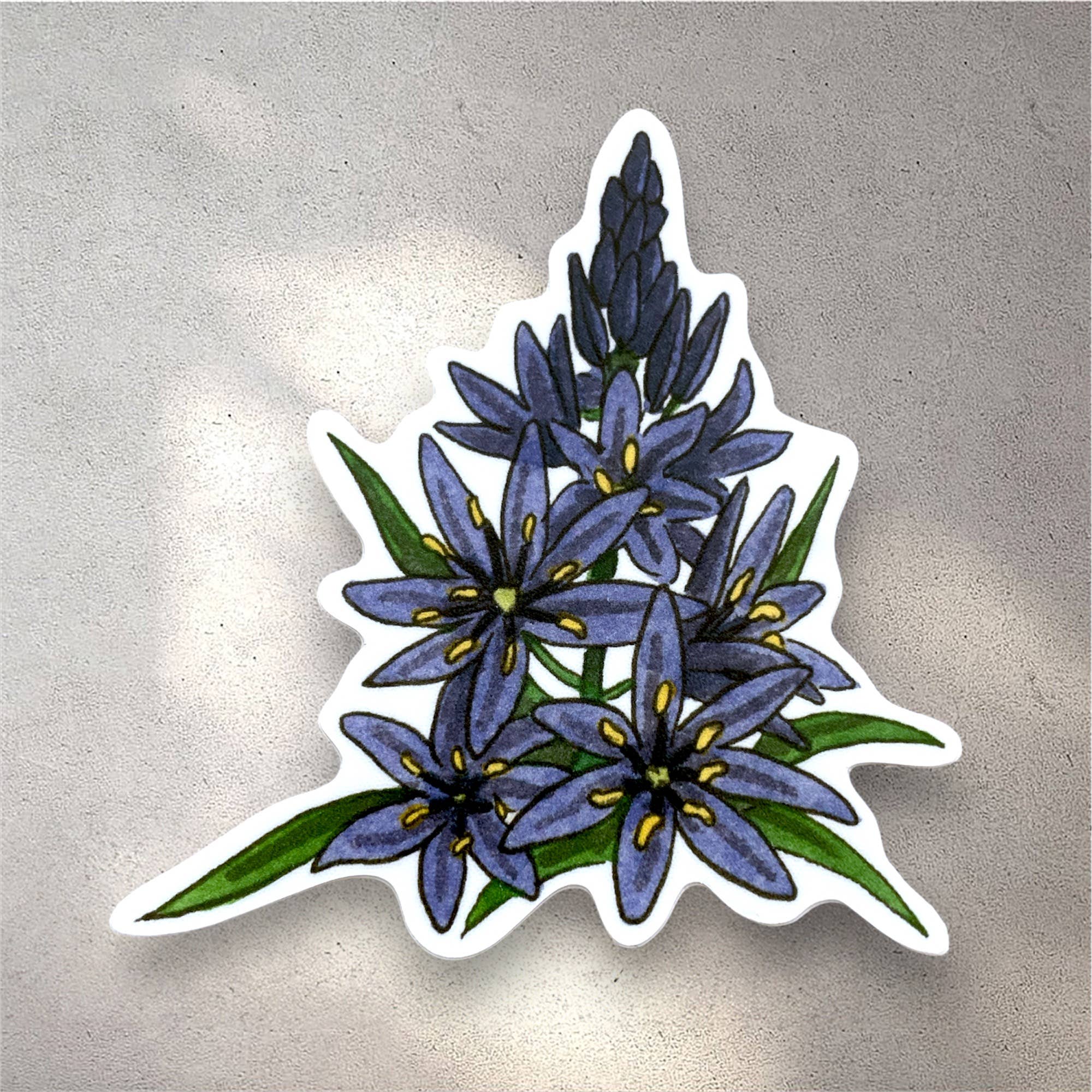 Anagram Press – Großhandel Aufkleber – Camas Aufkleber0