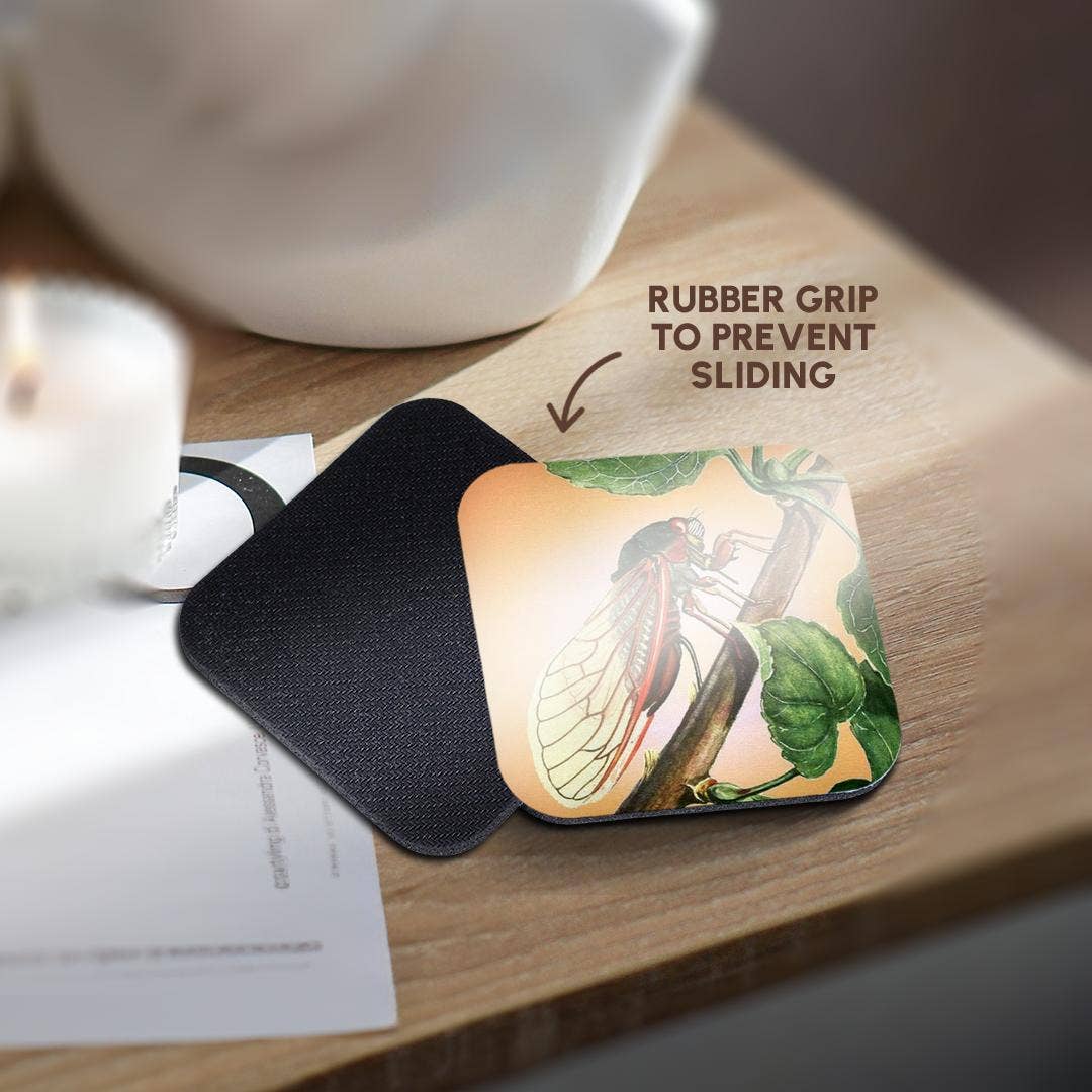 3dRose - Wholesale Coasters - 3dRose, Cicada - cicada, cicadas, magicicada septendecim, insect, insects, bugs, winged insects, Coaster10