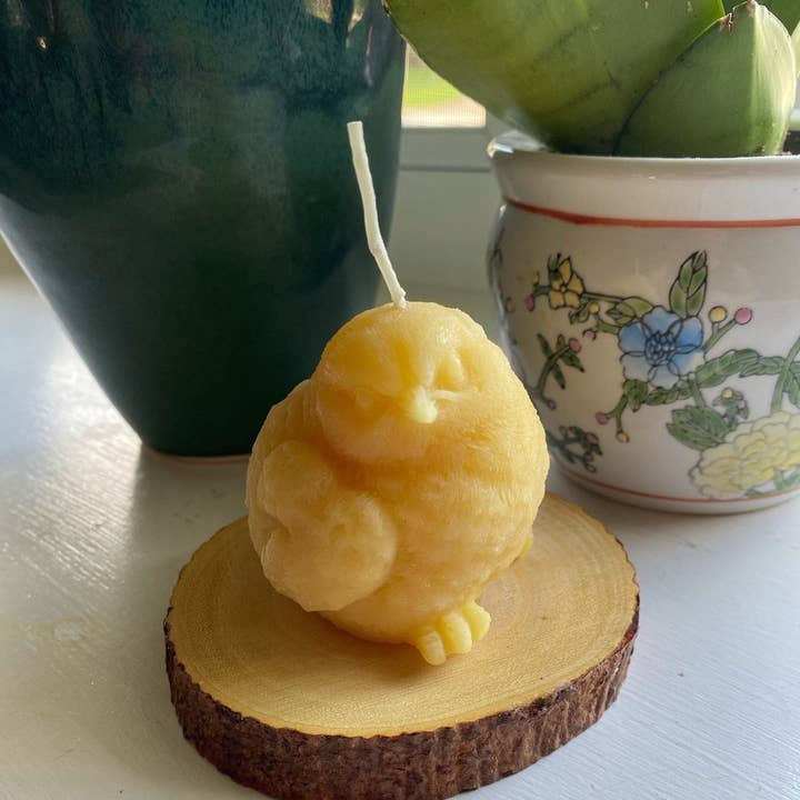 Bougie en cire d'abeille Birdy Perched pour la vente par Bees Light Candles