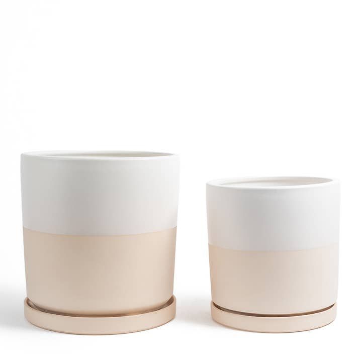 Momma Pots - Vente Pot - Pots cylindriques de 10,5 pouces (1 pièce) et 12,5 pouces (1 pièce) avec soucoupes à eau11