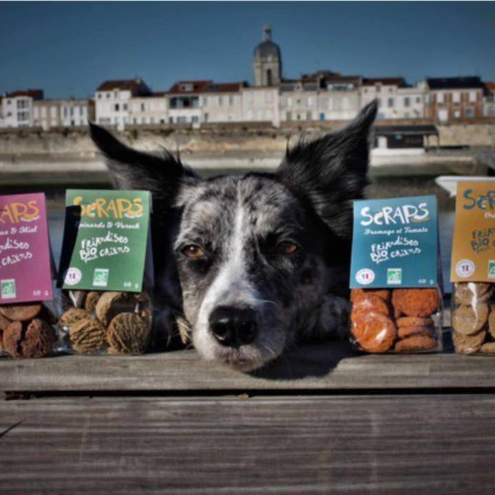 Scraps Gourmet - Wholesale Pet Treats - Dog - SCRAPS ORGANIC CANDIES IN SMALL BAGS of 40g or 60g
