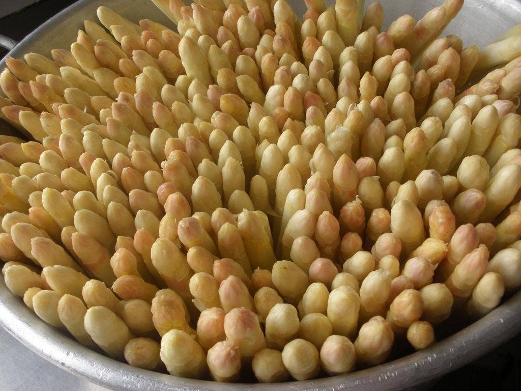 L'armoire A Conserves - Wholesale Pickled Vegetables - ASPARAGUS FROM GASCOGNE 900G2