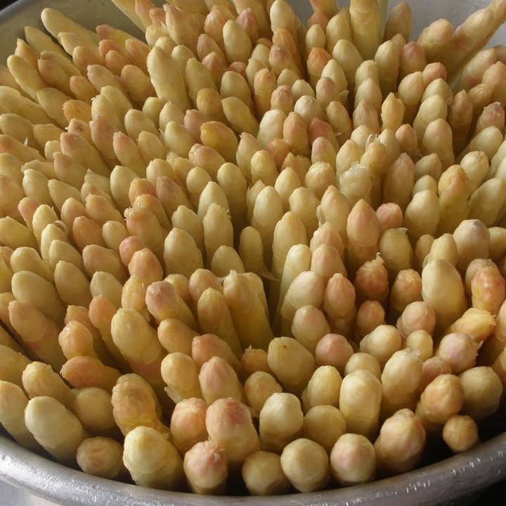 L'armoire A Conserves - Wholesale Pickled Vegetables - ASPARAGUS FROM GASCOGNE 900G2