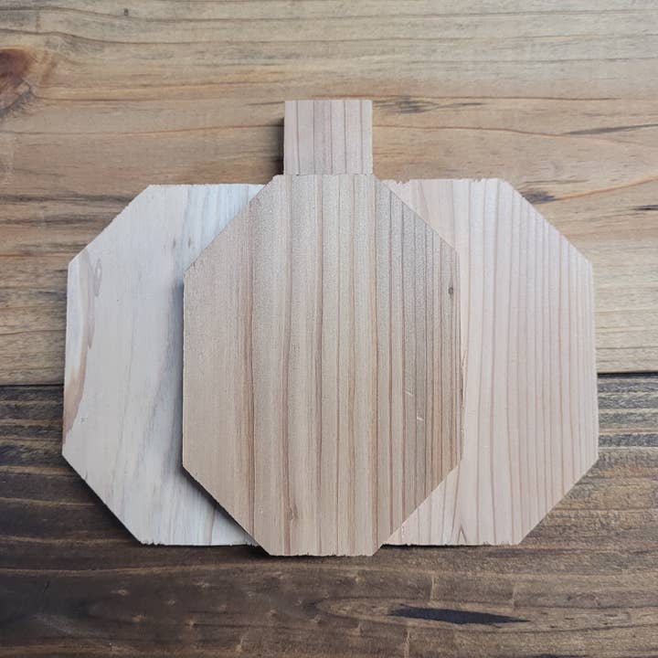 Mini Pumpkin for wholesale by Dixie Grace Mercantile