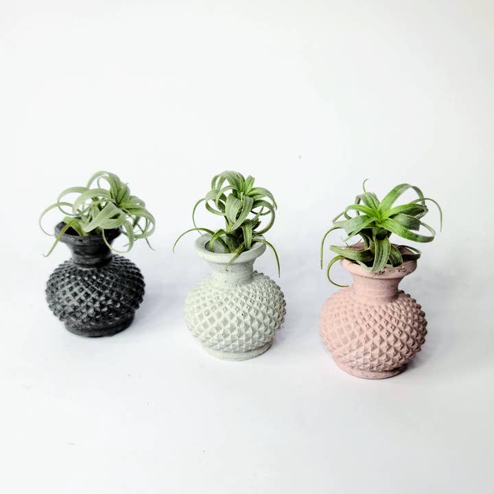 Geoform Designs - Wholesale Vase - Nat Small Concrete Vase | Dried Flower Air Plant Holder2