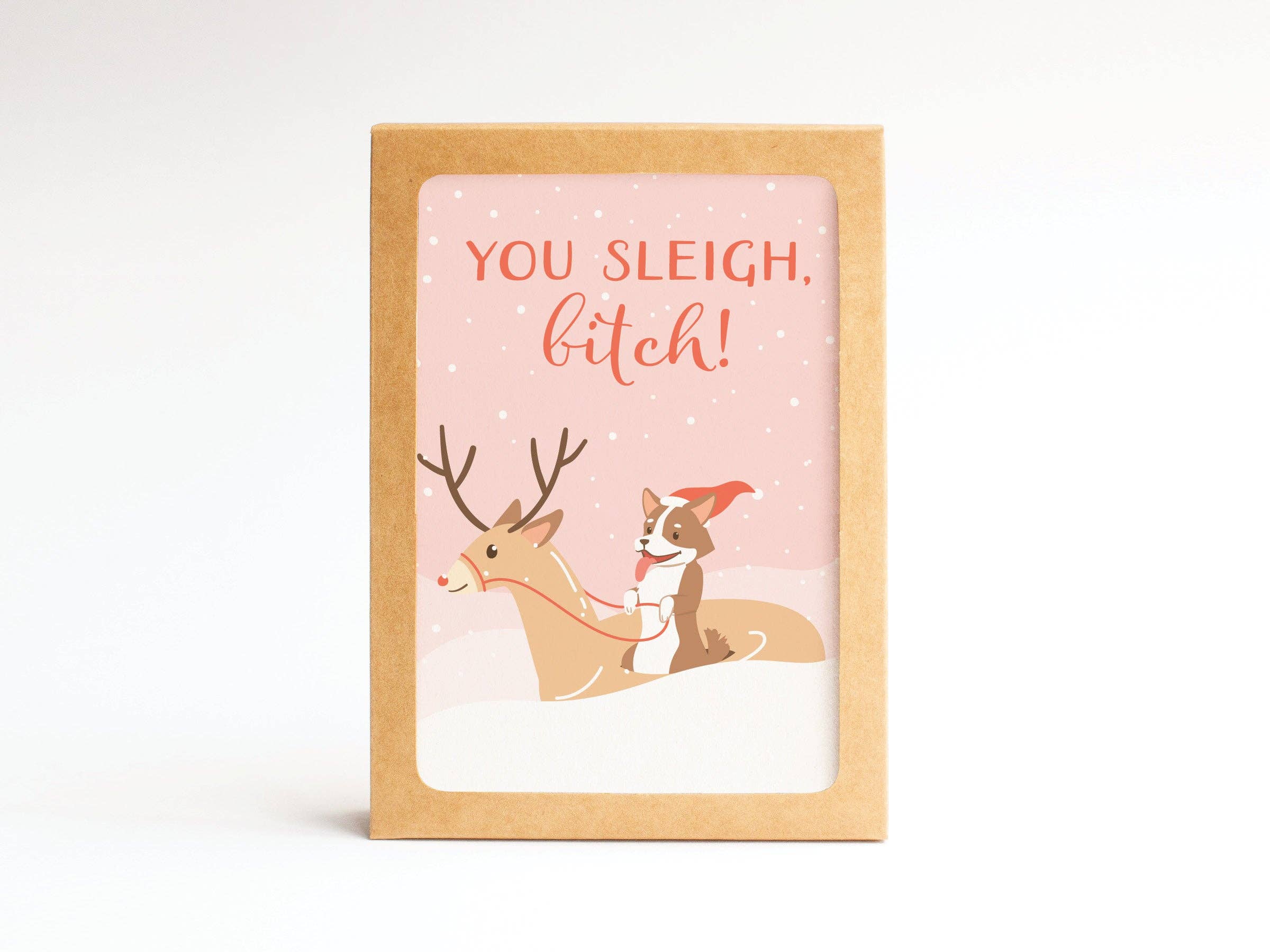 Easyhand Goods – formerly Onderkast - Wholesale Stationery/Notecard Set - You Sleigh, B*tch! Folded Greeting Note Set of 10