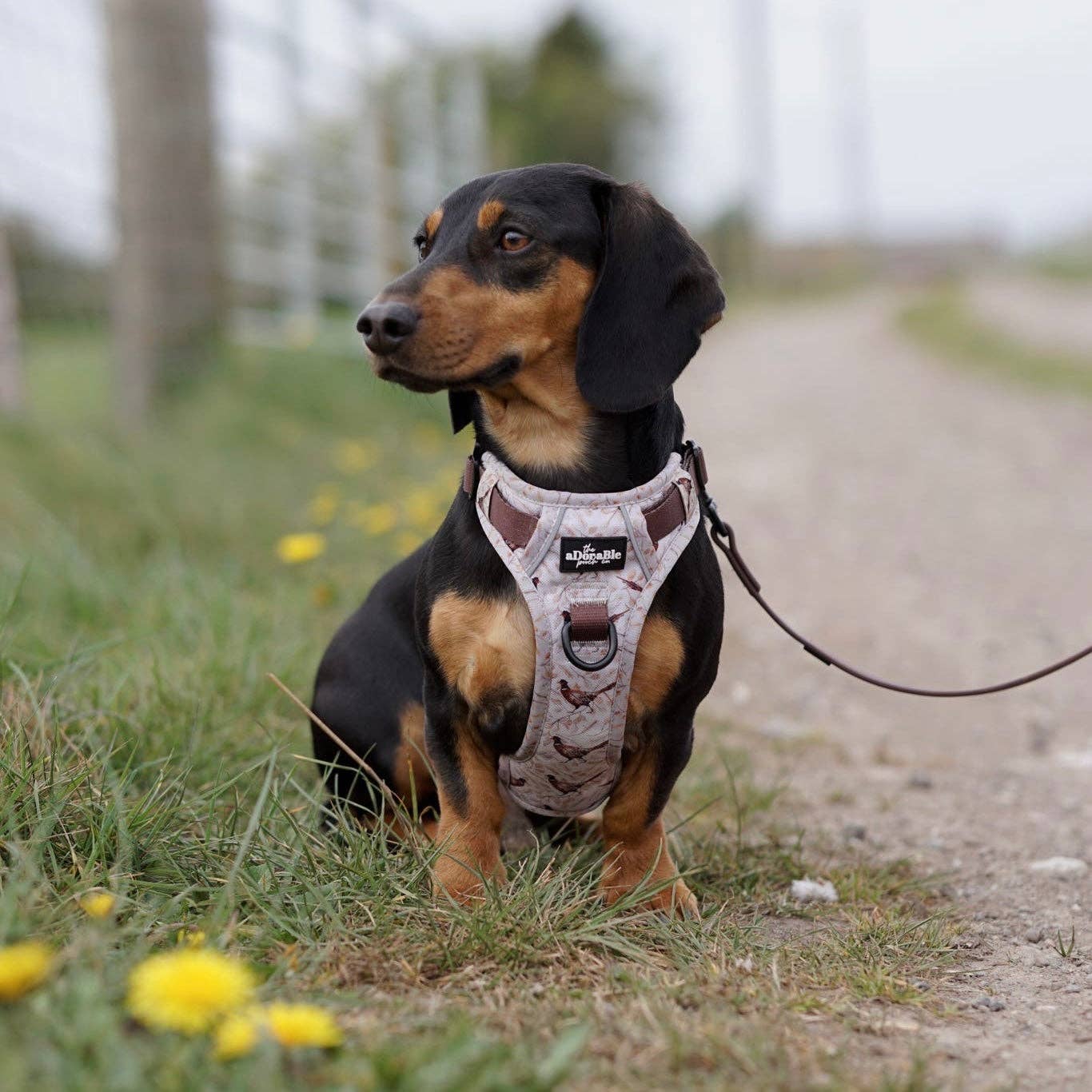 The aDoraBle Pooch Company - Wholesale Tuig voor huisdieren - Hond - Hike & Go™ Harnas - Farmland Fazant28