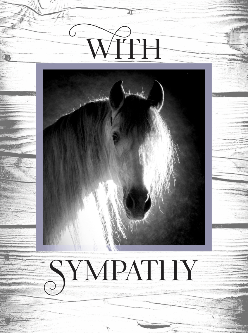 Horse Hollow Press - Wholesale Sympathy Card - Horse Sympathy Greeting Card / Thinking of You / Wood Bkgd6