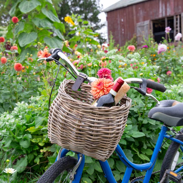 Bacon Basketware - Wholesale Basket - Rattan BICYCLE BASKET1