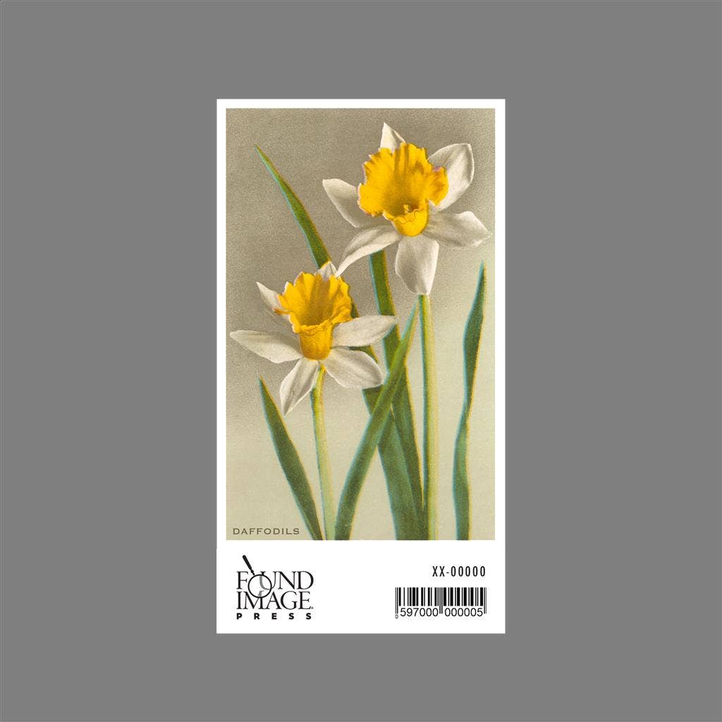 Found Image Press – Großhandel Aufkleber – Aufkleber FC-34 Narzissen1