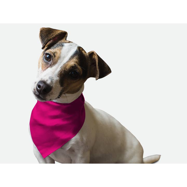 Bandoggies Breeze Pet Bandana - Petit frisbee rose fluo pour la vente par Bandoggies