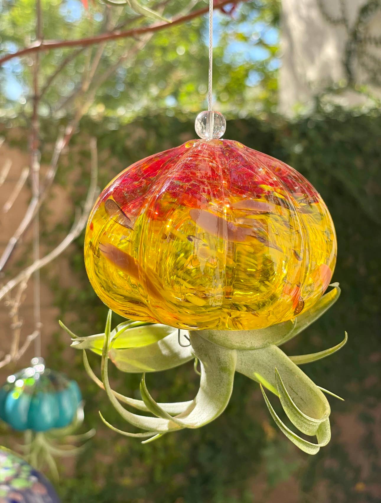 ApricotMint - Wholesale Hanging Planter - Cauliflower Jellyfish Air Plant Holder (plant not included)7