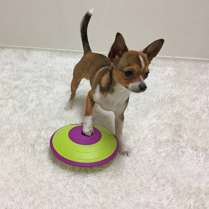 Pet Palette Distribution - Wholesale Pet Treats - Dog - Nina Ottosson Dog Treat Maze Interactive Dog Puzzle Toy