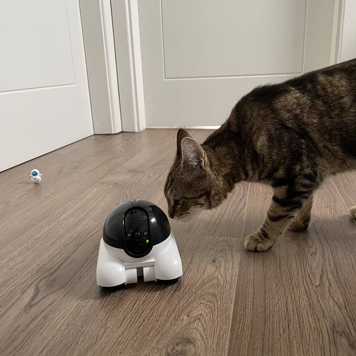 Moderny - Wholesale Small/Handheld Appliance - GuardianPixieâ„¢ Motion Detection Camera4