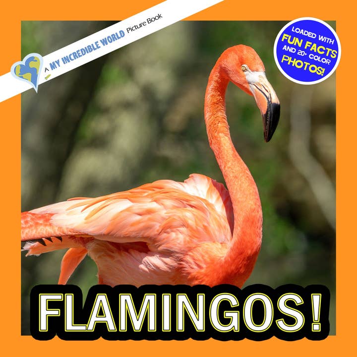 Flamingos! A My Incredible World Picture Book for Children for wholesale by My Incredible World